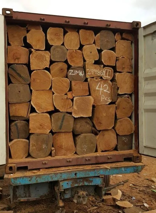 VẬN CHUYỂN GỖ VÀ THỦ TỤC XUẤT NHẬP KHẨU GỖ