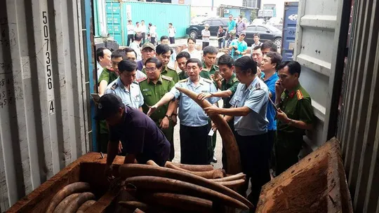 Lô hàng trăm tỉ nghi ngà voi ở cảng Cát Lái